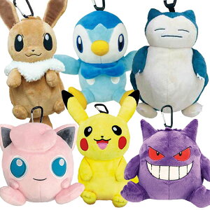 �|�P�b�g�����X�^�[ �J���r�i�t���ʂ�����݃|�[�`