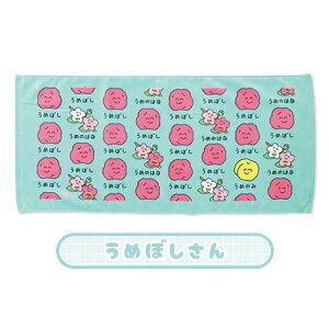 y[։z tFCX^I(wb_[t) 34×75cm S8