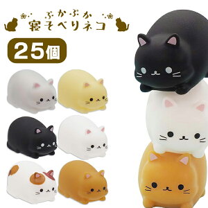 ՂՂQׂlR[25Zbgn(sy4839)