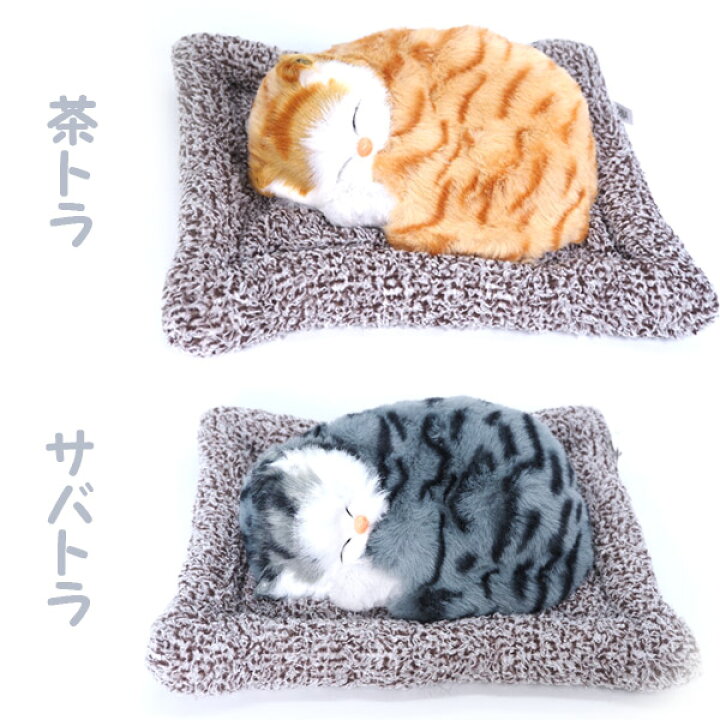 楽天市場】おねむりねこちゃん6種 : おもちゃの三洋堂