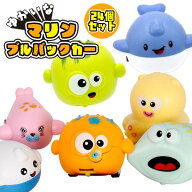 【楽天スーパーセール限定価格】ゆかいなマリンプルバックカー[24個セット](sy4756)