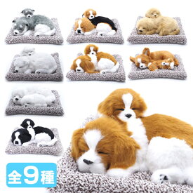 おねむりわんちゃん親子 [全9種]