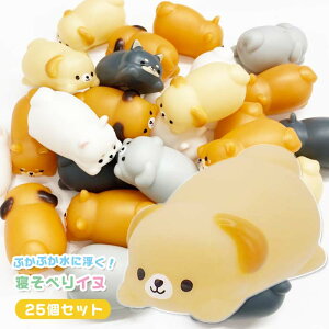 ՂՂ Qׂ Ck 25Zbg (sy5013)