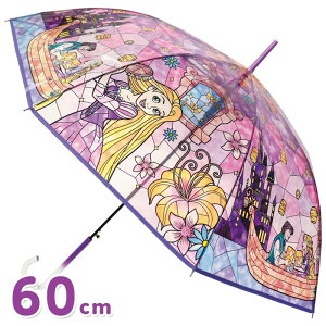 60cm XehOXP fBYj[ vcF