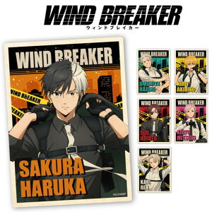 y[։zTVAj uWIND BREAKERv gxXebJ[