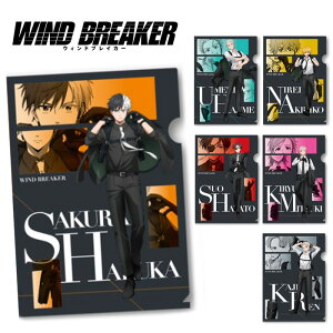 y[։zTVAj uWIND BREAKERv NAt@C