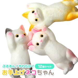 Ղ񂨎グ lR 12Zbg(sy4969)