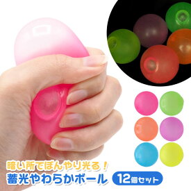 蓄光 やわらか ボール 12個セット(sy5057)