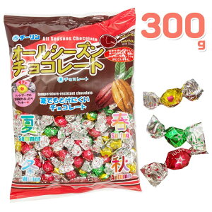 y[։z`[ 300g I[V[Y`R