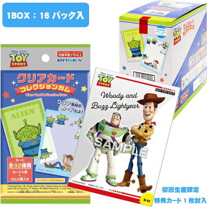 gCEXg[[ NAJ[hRNVK  16pbNBOX (H)