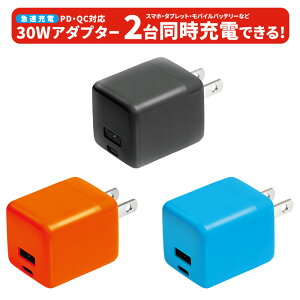 PD�^QC�Ή� 30W�A�_�u�^�[ �m�����_���̔��n