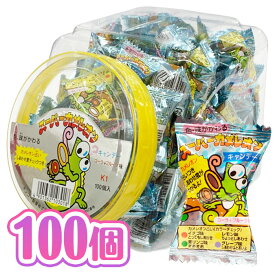 キッコー製菓 スーパーカメレオンキャンディ 100個装入