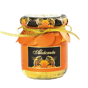 y5400~ȏőz nK[ yY nj[K[f AJVA݂͂y251247z