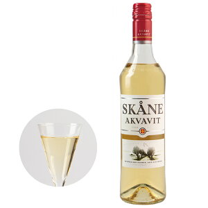 y5400~ȏőz XEF[f yY XR[l ANArbg XsbcyL51137z