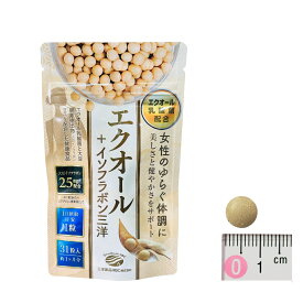 三洋薬品HBC　エクオール+イソフラボン三洋（31粒/約1ヶ月分）女性のお悩み ゆらぎ エクオール乳酸菌 アグリコン グルカシド 大豆