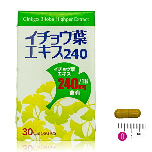 oA C`EtGLX240i30/30jC`Et 