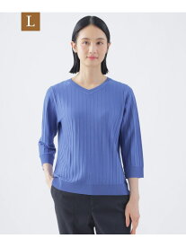 【SALE／50%OFF】【L】【ウォッシャブル】ヴィスコースストレッチVネックプルオーバー TRANS WORK サンヨー エルサイズ トップス ニット ブルー ネイビー ベージュ【RBA_E】【送料無料】[Rakuten Fashion]