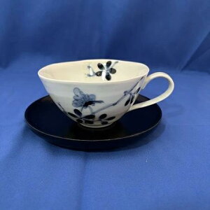 eB[Jbv ؐ\[T[t 쌴R[q[Jbv R[q[qM X[vJbv fU[g   g ؐMt { 傫 Ղ ԕ Ԗ͗l 傤  킢 