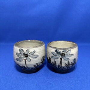 ۃZbg 2 Ï ` 포     Ē ʂ ܂  򖡓 \[T[X[v  ANZT[ Jo[ag a