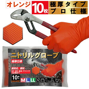 jg ĝĎ  IW S 10 Zbg gю֗ Ɍ Obv ϋv Lk ϖi ϖ Ȃ  JjbNO[u ĝ GWjAO[u 