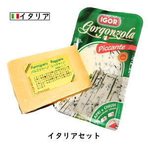 (あす楽)にこにこ イタリアチーズセット (パルミジャーノ・レッジャーノ 200g ・ゴルゴンゾーラ 160g) (総重量360g以上お届け)(Parmigiano Reggiano)(Gorgonzola)(DOP)(各国のチーズ2個セット)