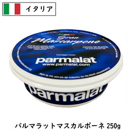 イタリア パルマラット マスカルポ－ネ チーズ 250g