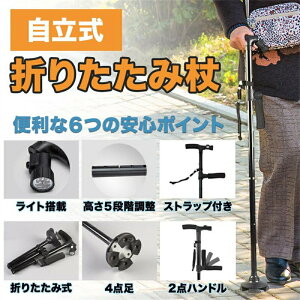  4_  ܂肽ݏ p j y RpNg Cg 5iK 2_nh Xgbv