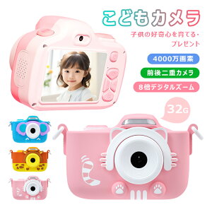 LbYJ gCJ fW^ J qp 4000f SDJ[h Xgbvt qpJ v[g NX}X w ̎q j̎q a 蕨  ǂJ L 