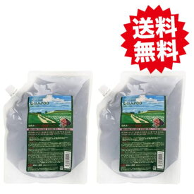 サニープレイス ザクロー精炭酸シャンプー 800ml 2個セット 詰替用 レフィル ザクロ精炭酸