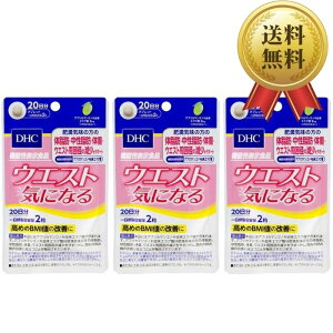 DHC EGXgCɂȂ 20 40 3 y@\\Hiz fB[GC`V[ Tvg GO_ OR}i CQ NHi ^Cv 