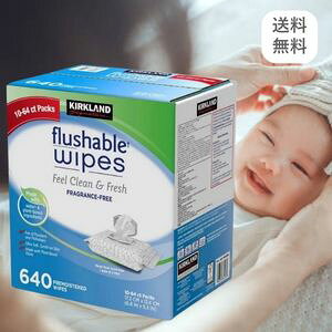 J[Nh EFbgV[g 640  ӂ Cv e