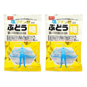 塩クエン酸入 ぶどう糖 25粒×2袋 熱中症対策 日本製