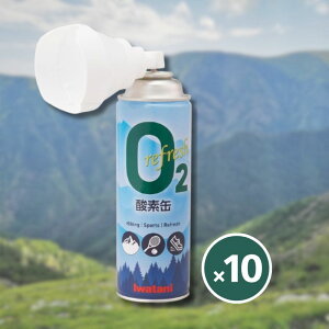 J IRS-1 tbV_f _f C^j Iwatani×10{Zbg