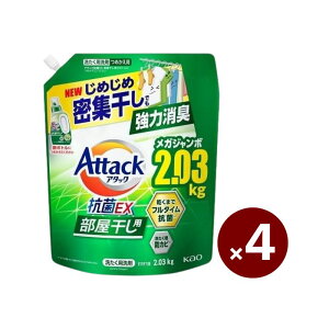 ԉ A^bNREX p 2030g×4 P[X