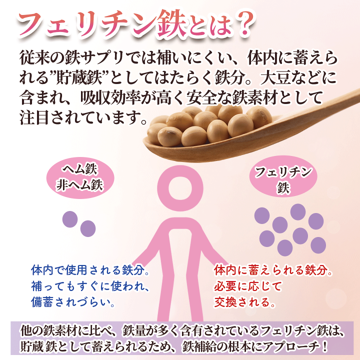 6袋セット フェリチン鉄のめぐり 1日分の鉄100% 栄養機能食品 鉄分不足 Amazon | 2袋セット フェリチン鉄 サプリ 鉄分 として10mg（2粒