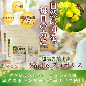 11日9:59まで18000円OFFクーポン配布♪ 「サプリエ プロポリス 210粒×6袋セット」 超臨界 ブラジル産 グリーンプロポリス サプリ シアル酸 エキナセア かりん ローヤルゼリー 内側ケア 家族 サプリ 安心 子供サプリ 季節の変わり目 環境変化 エイジングケアサプリ 健康
