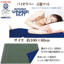 楽天市場】山本化学工業 バイオラバー 万能マットの通販