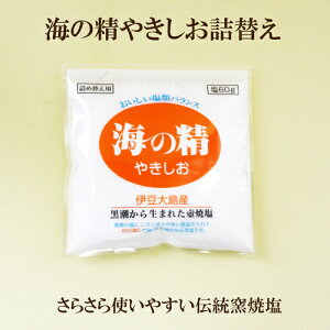 C̐@₫@lߑւp@60g@ɓ哇Y@