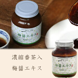 u~݃GLX 250g×4Zbgv y ZkԒ ~ ~GLX Ԓ YԒ