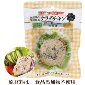 内野家 uchipac 無添加サラダチキン ブラックペッパー&ガーリック味 100g 高たんぱく質　国産鶏の胸肉使用 常温で長期保存可 プロテイン の代替品や非常食に最適 レトルトおかず ウチパク ※常温で保存できるのでお手軽にご使用頂けます(未開封品)