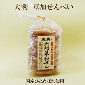 PH@唻@10@YЂƂ߂ڂgp@Lȑׂ