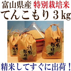 新米「令和7年度産　富山県産 特別栽培米てんこもり 玄米3kg」送料無料 玄米・1分搗き・3分搗き・5分搗き・7分搗き・白米・上白米●玄米を白米に精米すると、重量が約1割減少します。 サプリエ