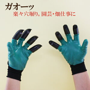 uxm ؍ؔ @O[u 2ZbgiE2Zbgjv K[fjO d d  x Ԑx G yX@  DIY TvG