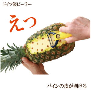 uhCcns[[v@s[[  gn ؂ꖡ ǂ w^ ނ ؂ Ƃ 炦 ȒP yX xm TvG