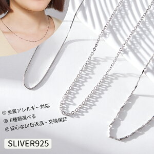 lbNX `F[ 6 Vv AM[ Ή  fB[X  l  Vo[ Silver925 AM[ v`i ANZT[ i WG[ ׂ lC v[g Xl