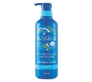 yZ3150~őzĈ邨@邨PAVv[ |v 490ml