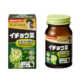 【送料無料】【野口医学研究所】 イチョウ葉 30.0g(500mg×60粒）