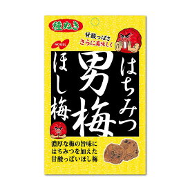 【合算3150円で送料無料】はちみつ男梅ほし梅 20g