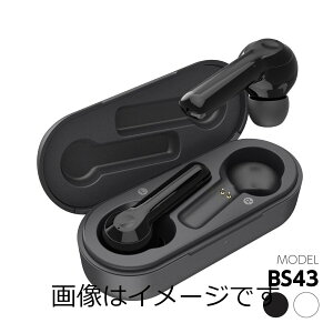 �y���������z���S���C�����X�C���z�� �h���^�b�`�Z���T�[�Ή� Bluetooth5.0 T-BS43���f��