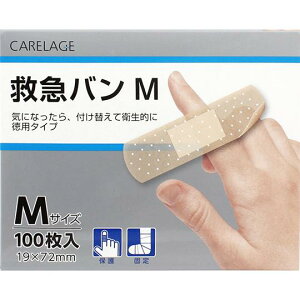 yZ3150~őzyAhObhzCARELAGE PA[W ~}o MTCY 100